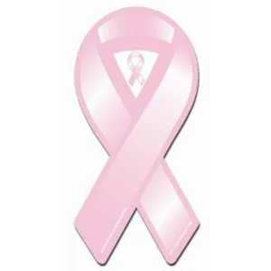 Breast Cancer Awareness Pink Ribbon Mini Magnet 4" x 2"